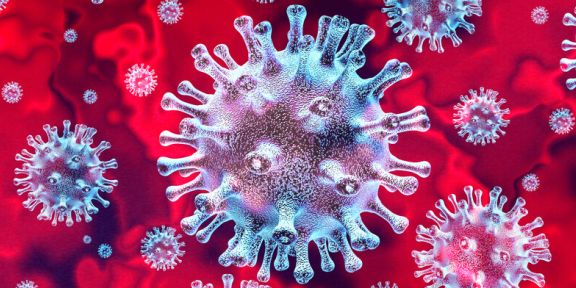 Trwa akcja zrzutu szczepionek przeciw wściekliźnie